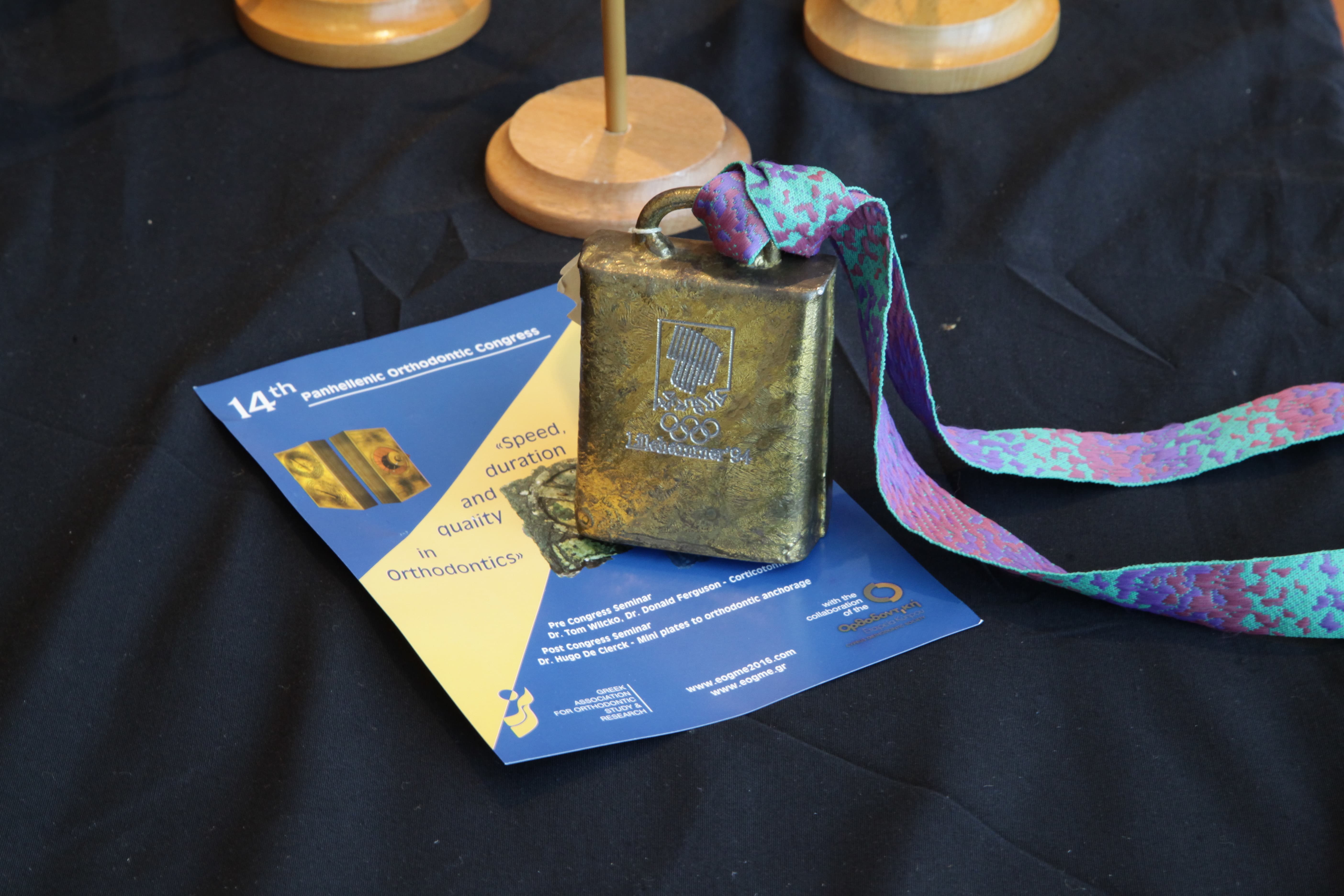 Professional conference presentation in progress